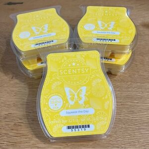 5 "Squeeze The Day" Scentsy Wax Bars